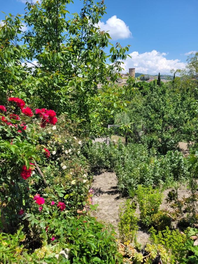 Comfort, Parcheggio E Balcone Su Tricarico In Basilicata, Io Sono Qui Экстерьер фото